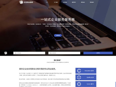 专业咨询顾问商业服务网站设计-案例